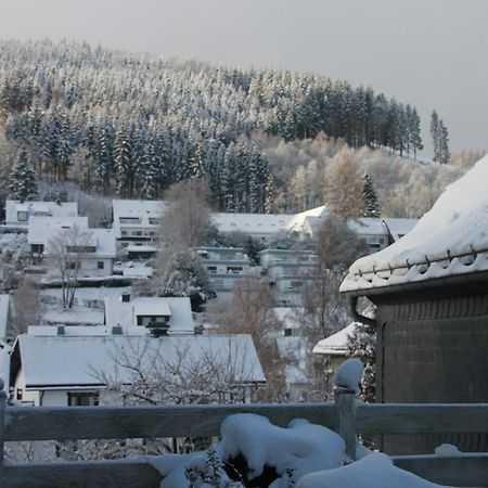 Ferienhaus Winterberg Fuer 12 Personen Sauna Garten Garage Hund Kültér fotó