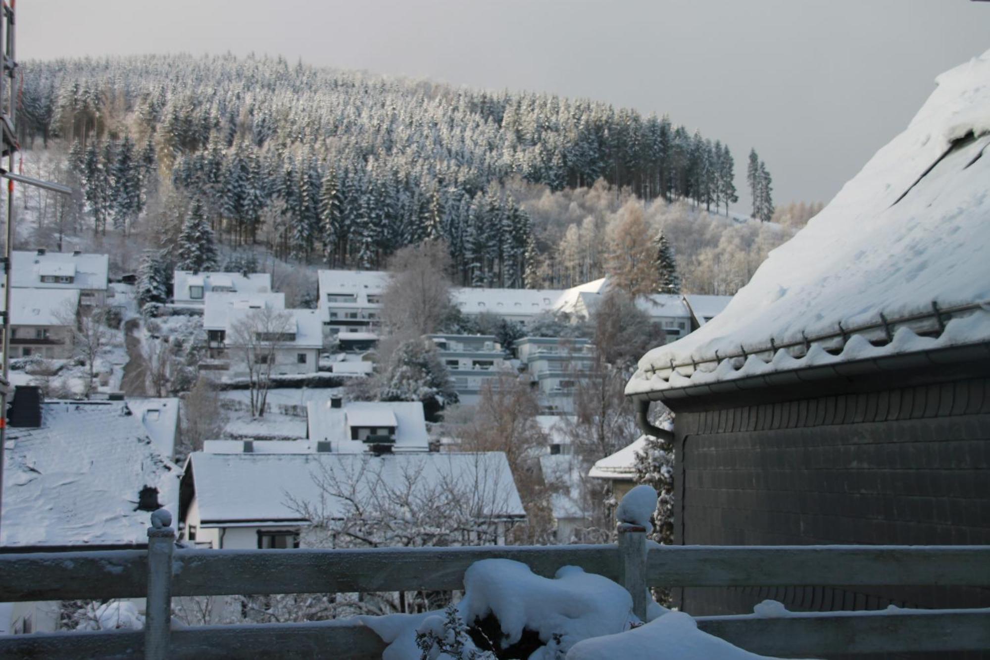 Ferienhaus Winterberg Fuer 12 Personen Sauna Garten Garage Hund Kültér fotó