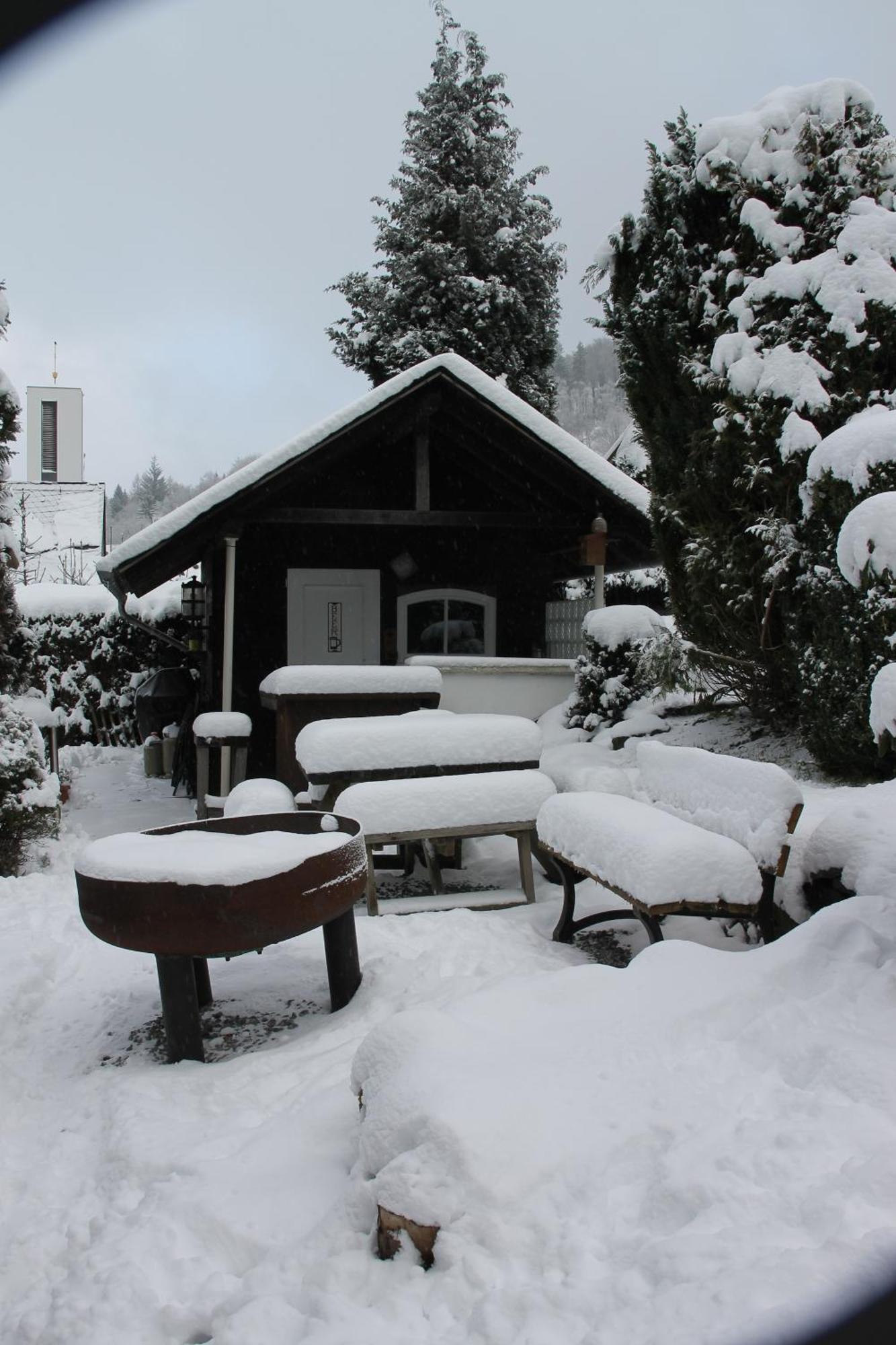 Ferienhaus Winterberg Fuer 12 Personen Sauna Garten Garage Hund Kültér fotó